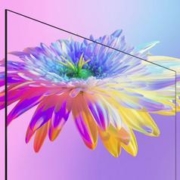 限移动端、京东百亿补贴：KKTV 康佳KKTV K43 43英寸 1+8GB内存 全高清 全面屏 无线投屏 智能网络平板教育液晶电视机