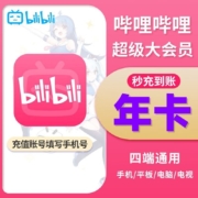 bilibili 哔哩哔哩 超级大会员年卡12个月 支持电视端