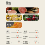 阿布庄园性价比之选：PIGGY BANK 扑满咖啡 巴拿马波奎特 ABU阿布庄园 卡杜艾厌氧日晒 150g