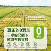 小皮 婴幼儿有机高铁米粉大米粉尝鲜试用装25g宝宝辅食米糊