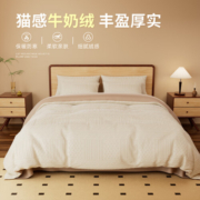 素时代四件套 牛奶绒珊瑚绒床上四件套冬季法兰绒床单被套200*230cm白