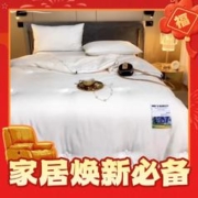 SOMERELLE 安睡宝 20%小麦蛋白纤冬被 星空下的麦田
