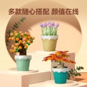 森宝积木 儿童积木拼装玩具兼容乐高男女孩礼物装饰盆栽花坊圆满果萌杯611062