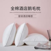 IVYKKI 艾维 枕芯全棉抑菌对枕酒店白鹅毛枕午睡家用枕头芯单只/对装枕芯
