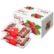 京东百亿补贴：沙窝曙光 大凉山草莓净重1.4斤2盒15g/颗起