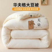 红豆男装 大豆纤维被子被芯冬被加厚保暖秋冬被棉被子母被2023新款冬季