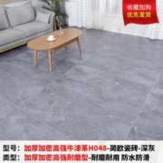 地毯卧室客厅大面积全铺家用塑料pvc防水可擦洗水泥地面铺满