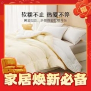 爆卖年货、PLUS会员：BLISS 百丽丝 豆泡泡抗菌冬被 200*230cm