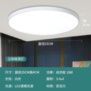 金雨莱 三防吸顶灯 白色 18W
