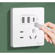 需首购：fdd 国际电工 双USB插座面板 20W 五孔2.1A双USB+type-c