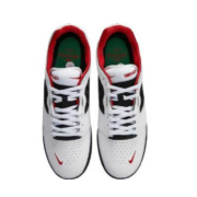 17日20点：NIKE 耐克 男子NIKE SB ISHOD PRM L户外鞋DZ5648-101 DZ5648-100