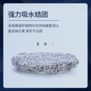 铂钻（EverClean）铂钻原装进口猫砂膨润土无尘 活性炭除臭猫砂25磅 蓝标除臭11.3kg 现货