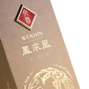 WENJUN 文君 酒 白酒 48度凤求凰 浓香型 剑南春集团宴请送礼收藏 48%vol