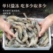 东上御品 虾 青岛大虾17-21cm【虾王20/30规格】 盐冻大虾4斤【推荐单只冻】