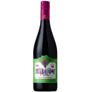 ONHWA 通化葡萄酒 爽口山葡萄加气露酒 720ml