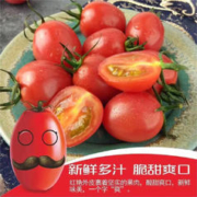 樱鲜 攀枝花露天千禧 果 2.5kg