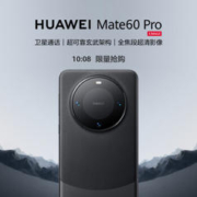 HUAWEI 华为 Mate 60 Pro 手机 12GB+1TB 雅丹黑