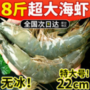 邮兔 大虾鲜活超大基围虾青岛海虾特大青虾速冻海鲜水产生鲜盐冻鲜虾类