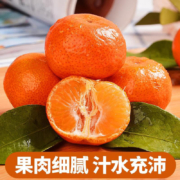 泰汇吃 正宗广西砂糖橘 5斤＊2件