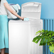 Midea 美的 MB82V32 波轮洗衣机 8kg 极地白