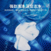 Little Duck 小鸭 牌2.5公斤 半自动迷你洗衣机小型