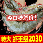 京东百亿补贴：北海湾 虾 青岛特大虾王20/30规格（17-21cm） 气冻大虾【纯虾3斤】