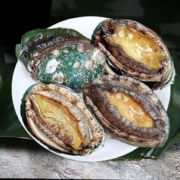 食界君 新鲜冷冻大鲍鱼 2斤 一袋500g 8头鲍 顺丰冷链