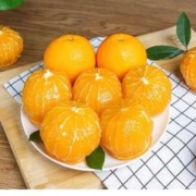 郁萌萌 湖南麻阳冰糖橙4.5斤味甜多汁整箱包邮
