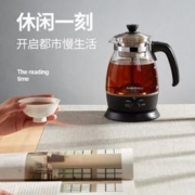 限移动端、京东百亿补贴：KAMJOVE 金灶 养生壶 1L 白色