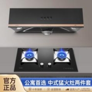 WEILI 威力 家用厨房抽油烟机灶具套装燃气猛火灶热水器WLT10套餐