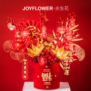 京东百亿补贴：JoyFlower 年宵花福桶 红果发财果 装饰摆件