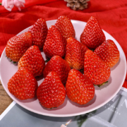 京东百亿补贴：愉果 大凉山奶油草莓 2斤装单果12g+