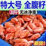 冰鲜部族 无冰北极甜虾特大腹籽3斤冻虾90/120