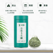 文新 信阳毛尖绿茶2023新茶茶叶雨前春茶有芽有叶w-64散装100g
