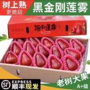 曲迪 海南正宗黑金刚莲雾 3斤礼盒装 特大果(单果100g+)