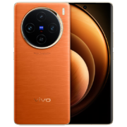 vivo X100 5G手机 12GB+256GB