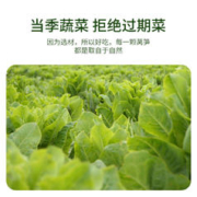 凡农人家 莴笋干莴苣干228g农家非特级脱水蔬菜下饭菜类干货大全