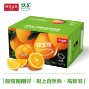 NONGFU SPRING 农夫山泉 17.5°橙 脐橙 铂金果 3.5kg 礼盒装