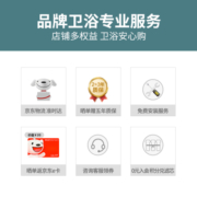 飞利浦（PHILIPS）智能马桶一体机暖风烘干即热冲洗自洁加热智能坐便器AIB6320