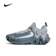 京东百亿补贴：NIKE 耐克 男子GIANNIS IMMORTALITY 2 EP篮球鞋 DM0826-004