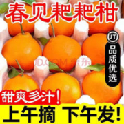 OIMG 年货节！妙杀1000箱 四川春见耙耙柑 精品耙耙柑9斤装