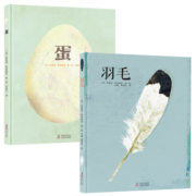蛋和羽毛绘本 精装共2册 德国艺术科普图书奖、博洛尼亚国际儿童书展特别奖,融合科学、人文与艺术的博物百科绘本 课外阅读 延伸思考 寒假阅读