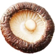 干货农家特产大香菇 2斤（玛丽推荐）
