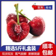 鲜晟季 当季进口智利车厘子 5斤礼盒装