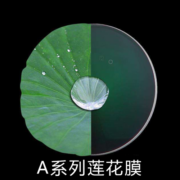 蔡司（ZEISS）蔡司镜片2片 德国非球面近视眼镜片现片 光学配镜ZDM（可来架 A系列莲花膜 1.67（2片）