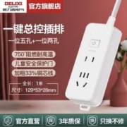 DELIXI 德力西 2插位插排 总控开关 1m