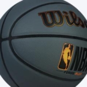 Wilson 威尔胜 篮球NBA比赛篮球 7号/标准