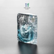 TOYO-SASAKI GLASS 东洋佐佐木日本进口加厚玻璃花瓶透明插花水养鲜花高级感桌面摆件