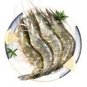 京东百亿补贴：百年渔港 鲜冻大虾 净重 1.8kg 90-108只 活虾速冻 大虾