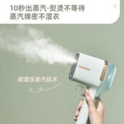 DAEWOO 大宇 大蒸汽挂烫机手持电熨斗新款烫斗家用小型熨烫衣服熨烫机2023